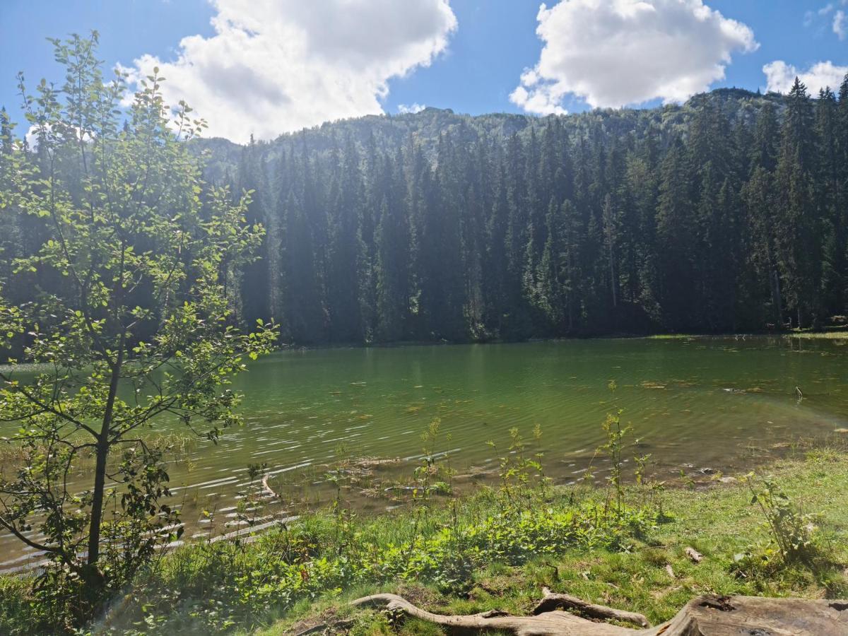 Holiday Home Mountain Žabljak Exteriér fotografie